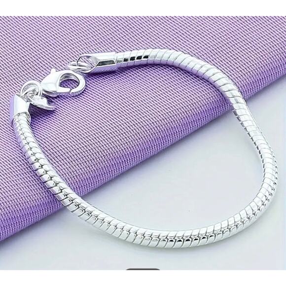 925 Sterling Silver Snake Bone Chain Bracelet and Necklce Set NWT Minimal Modern - Picture 2 of 5